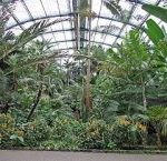 palmengarten-frankfurt